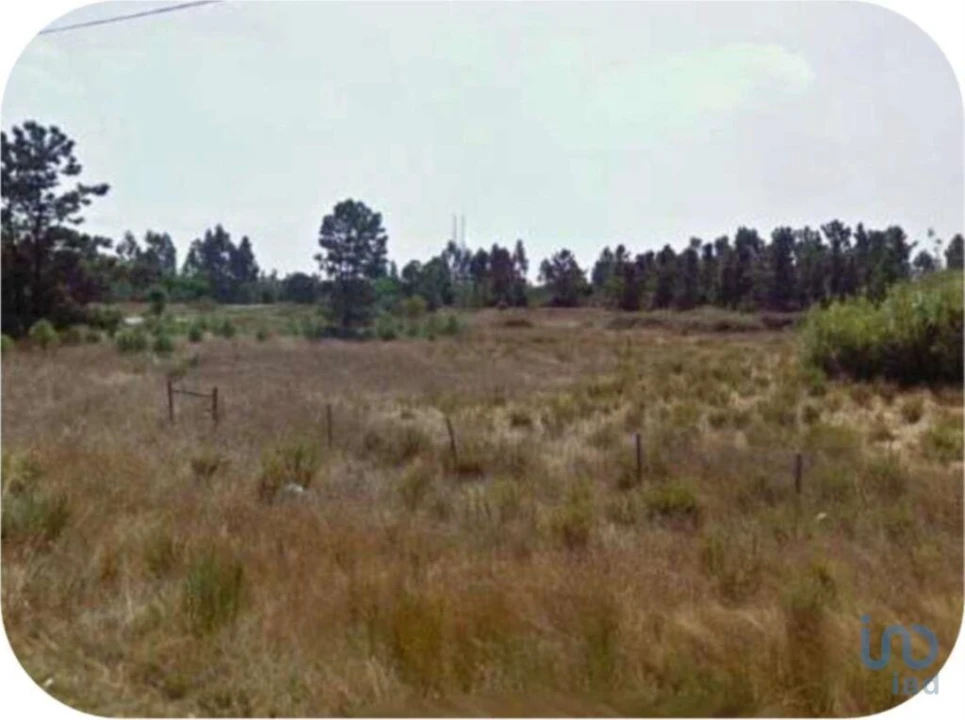 Terreno para Venda em Pegões Foto 7