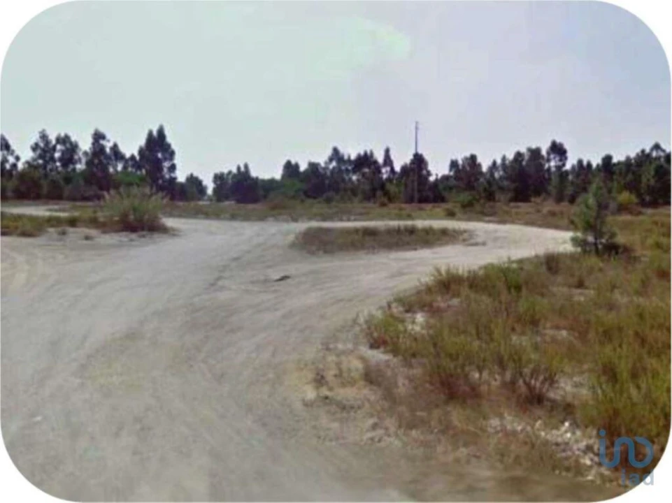 Terreno para Venda em Pegões Foto 5