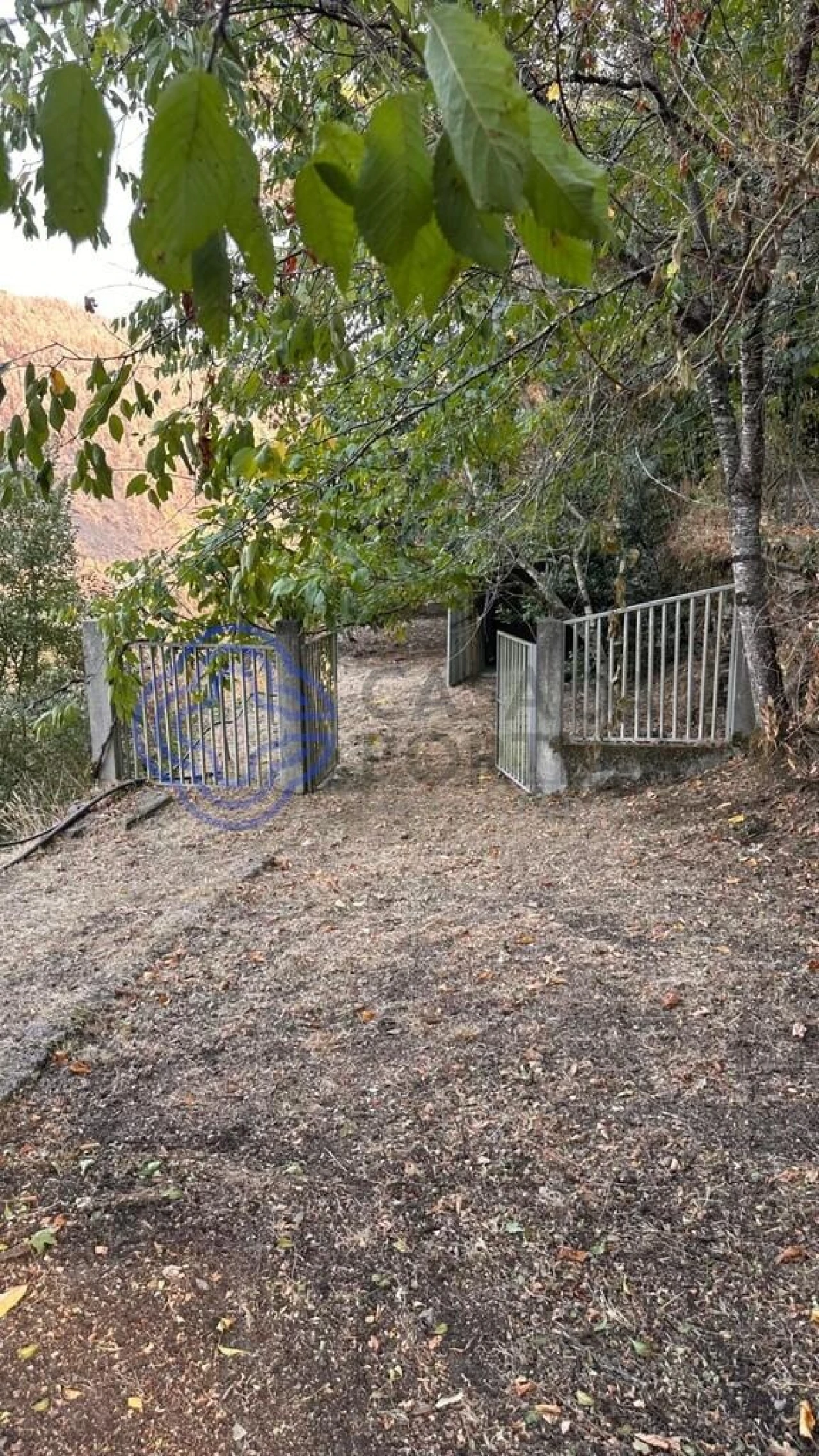 Quinta T4 para Venda em Canelas e Espiunca Foto 67