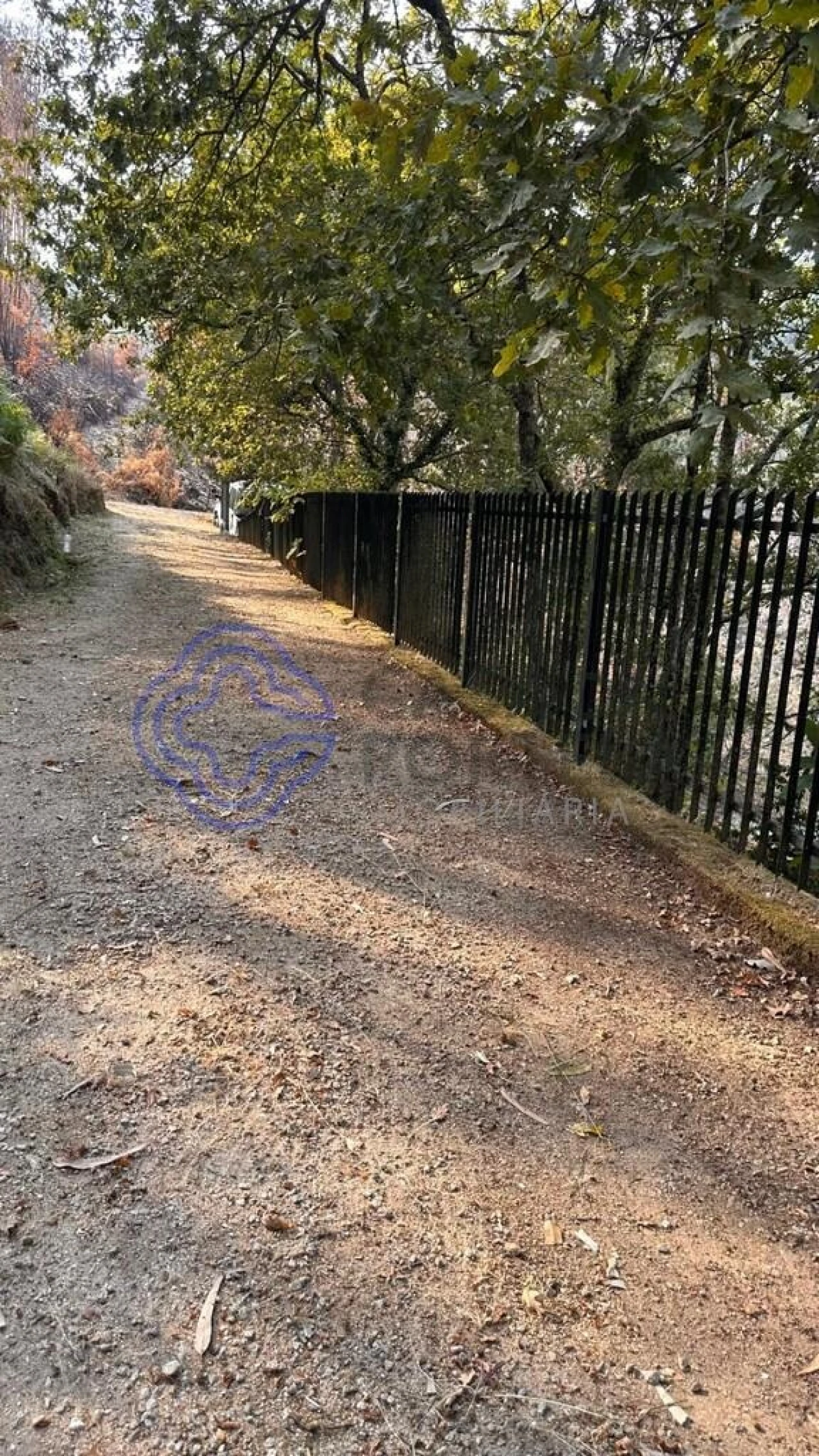 Quinta T4 para Venda em Canelas e Espiunca Foto 59