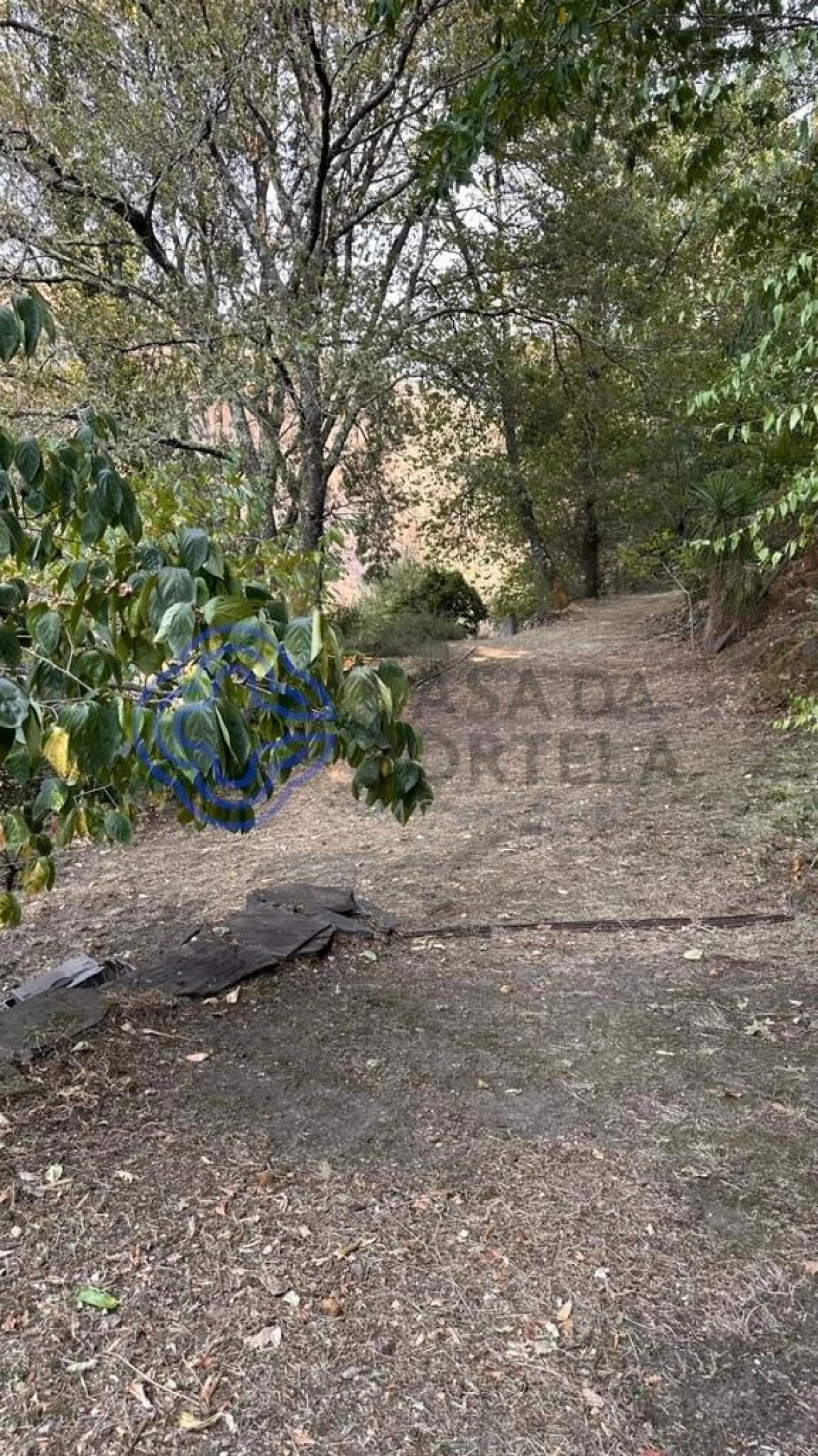 Quinta T4 para Venda em Canelas e Espiunca Foto 68