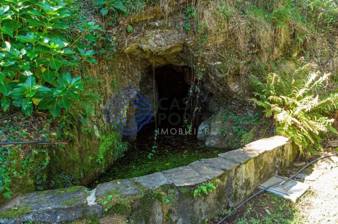 Quinta T4 para Venda em Canelas e Espiunca Foto 62