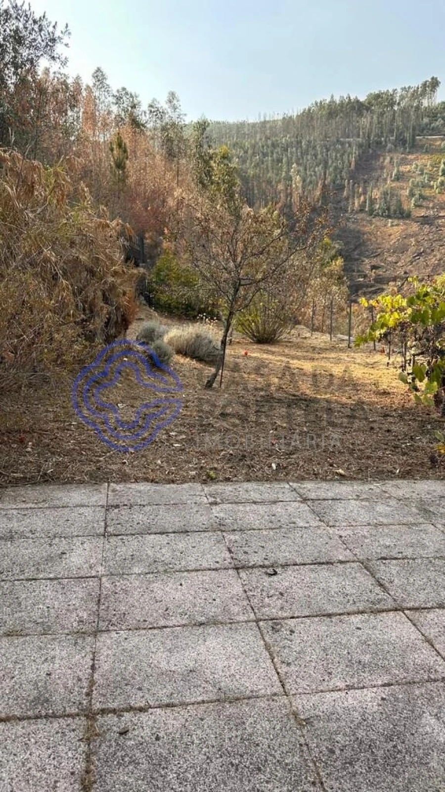 Quinta T4 para Venda em Canelas e Espiunca Foto 60