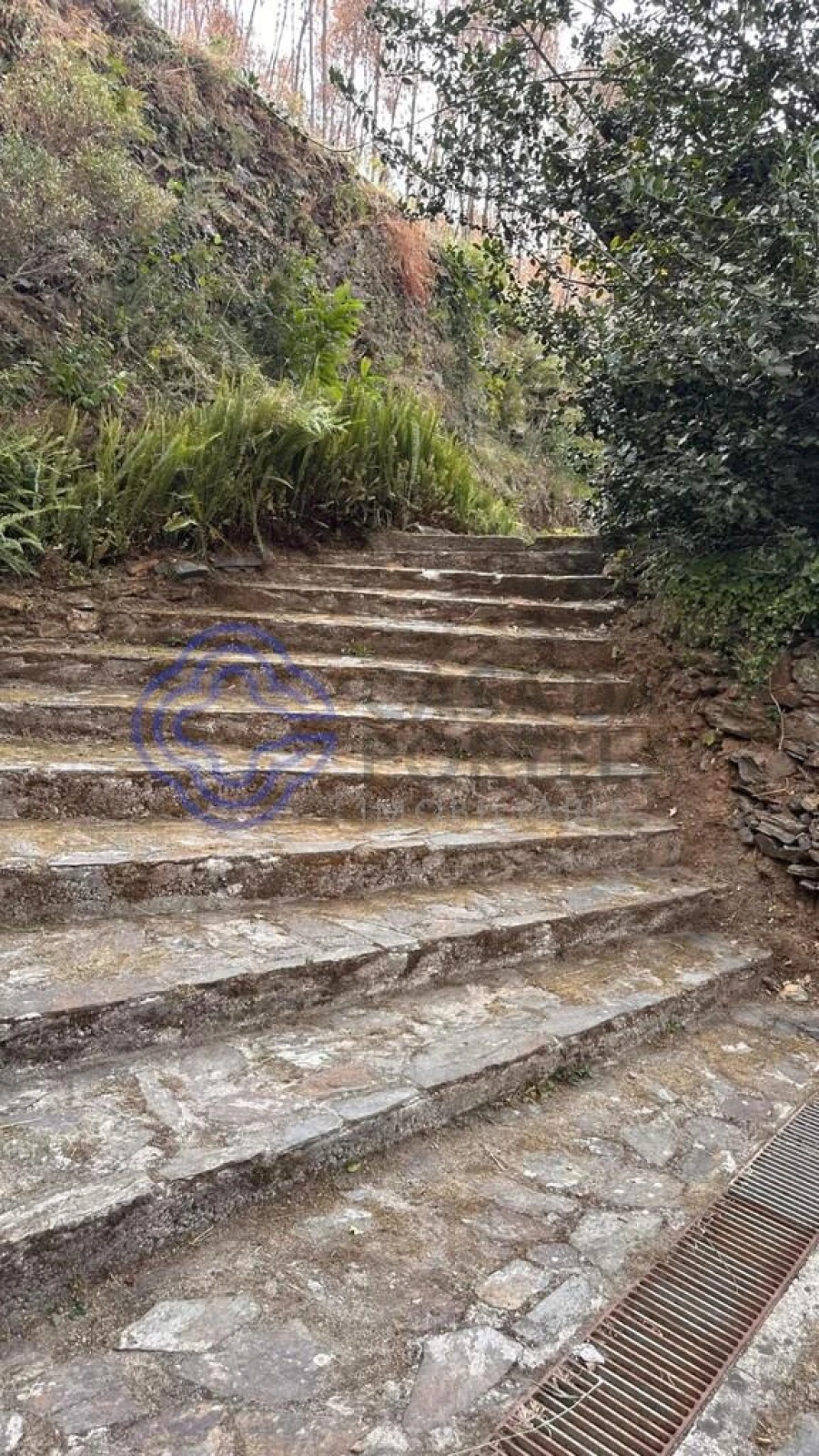 Quinta T4 para Venda em Canelas e Espiunca Foto 45