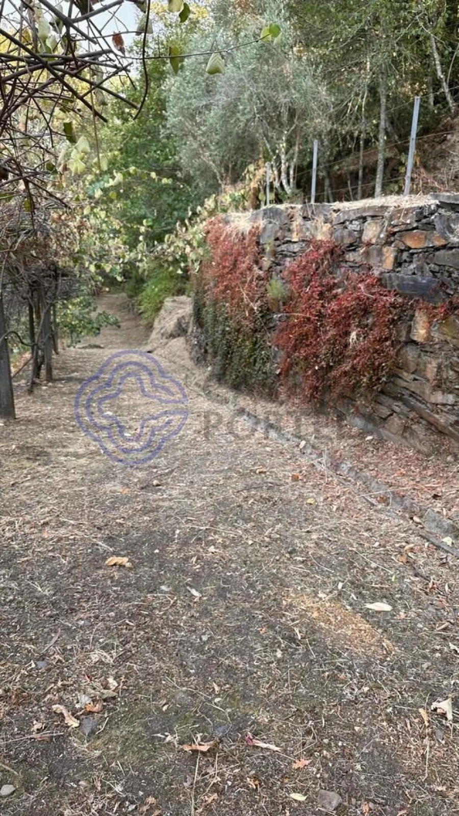 Quinta T4 para Venda em Canelas e Espiunca Foto 66