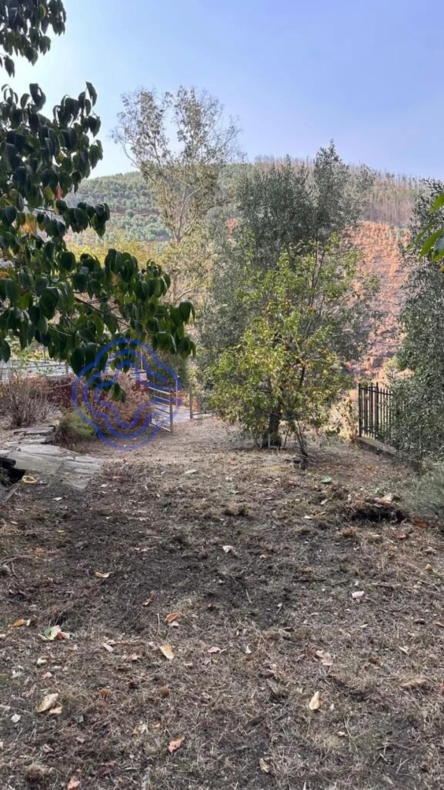 Quinta T4 para Venda em Canelas e Espiunca Foto 64