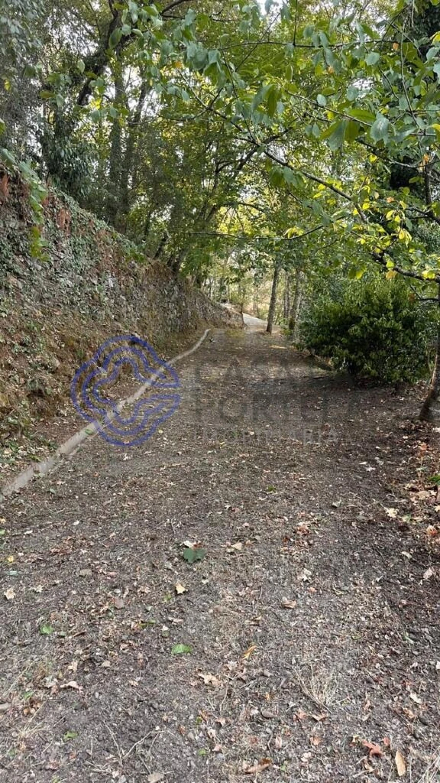 Quinta T4 para Venda em Canelas e Espiunca Foto 69