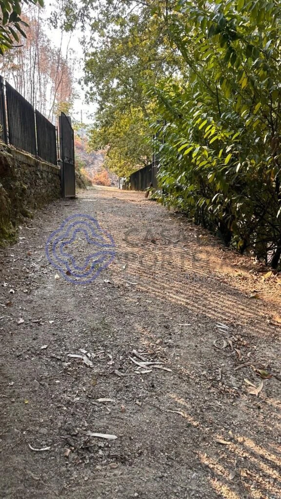 Quinta T4 para Venda em Canelas e Espiunca Foto 58