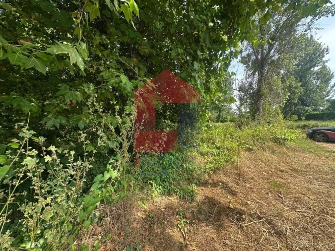 Terreno para Venda em Merelim (São Paio), Panoias e Parada de Tibães Foto 10