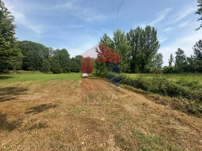 Terreno para Venda em Merelim (São Paio), Panoias e Parada de Tibães Foto 5