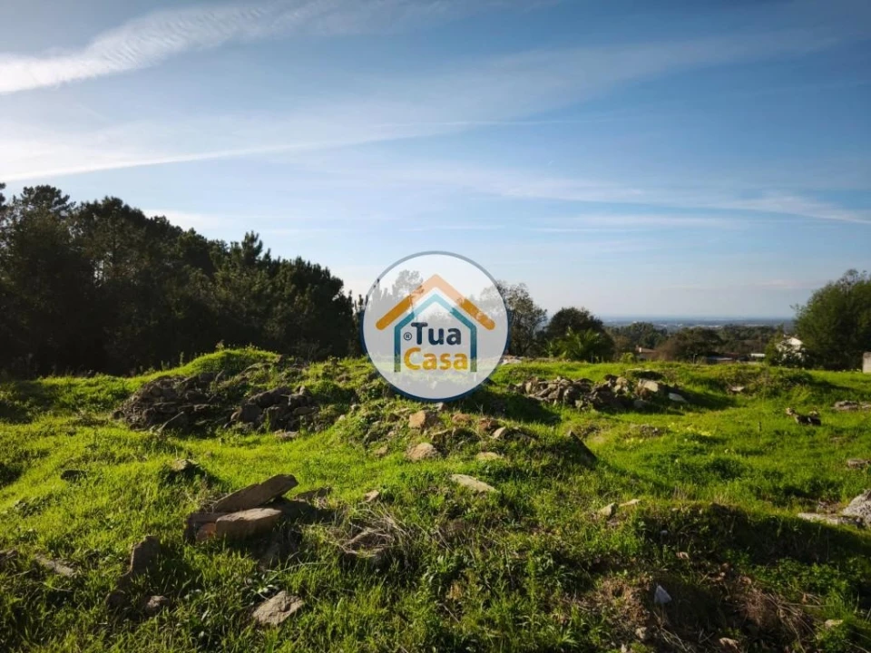 Terreno para Venda em Pinheiro da Bemposta, Travanca e Palmaz Foto 5