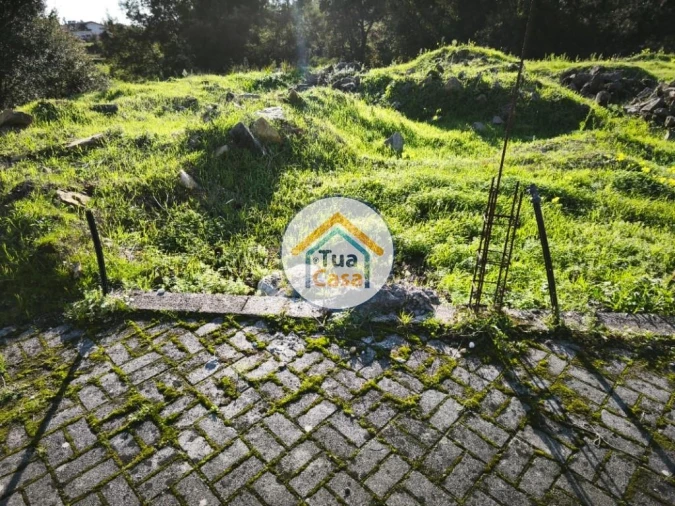 Terreno para Venda em Pinheiro da Bemposta, Travanca e Palmaz Foto 6