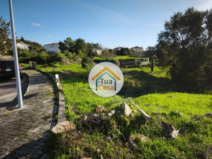 Terreno para Venda em Pinheiro da Bemposta, Travanca e Palmaz Foto 3