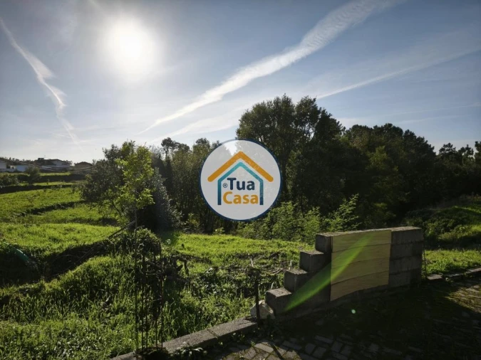 Terreno para Venda em Pinheiro da Bemposta, Travanca e Palmaz Foto 9