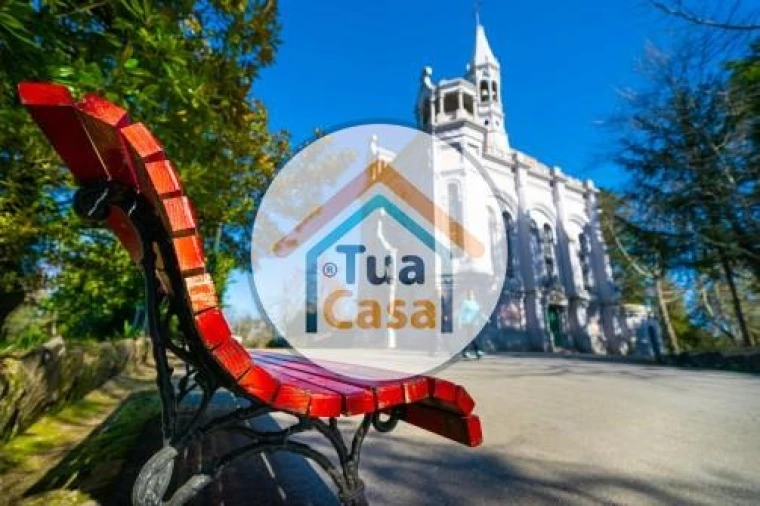 Terreno para Venda em Pinheiro da Bemposta, Travanca e Palmaz Foto 22