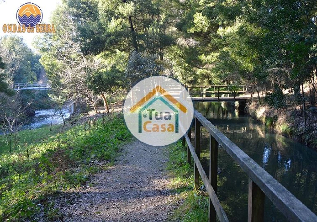 Terreno para Venda em Pinheiro da Bemposta, Travanca e Palmaz Foto 18