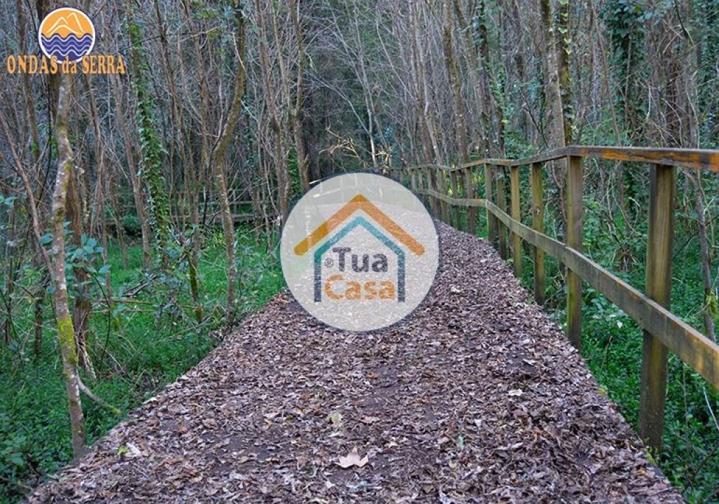 Terreno para Venda em Pinheiro da Bemposta, Travanca e Palmaz Foto 19