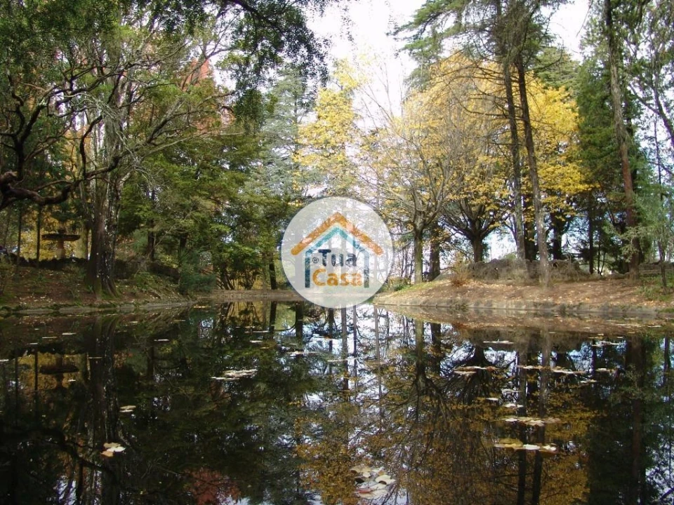 Terreno para Venda em Pinheiro da Bemposta, Travanca e Palmaz Foto 17