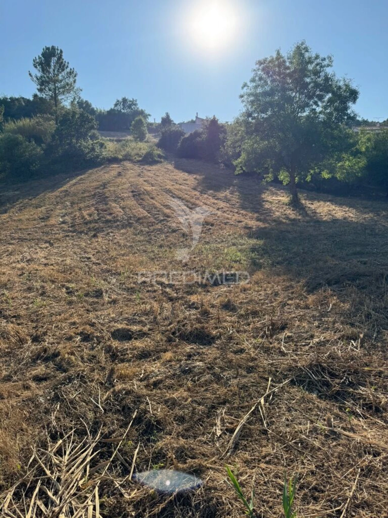 Terreno para Venda em Leiria, Pousos, Barreira e Cortes Foto 16