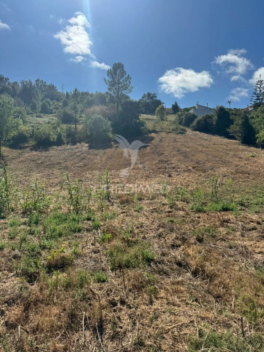 Terreno para Venda em Leiria, Pousos, Barreira e Cortes Foto 14