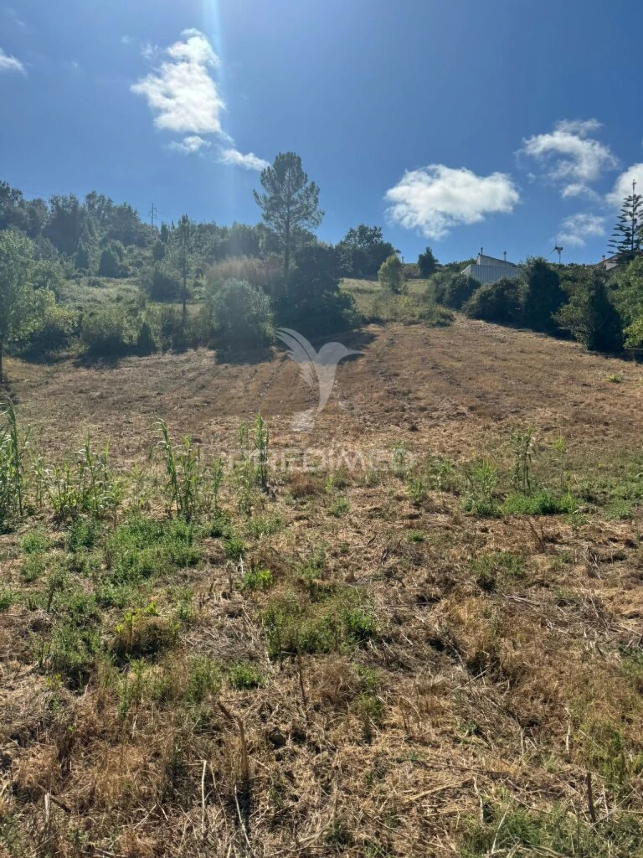 Terreno para Venda em Leiria, Pousos, Barreira e Cortes Foto 14