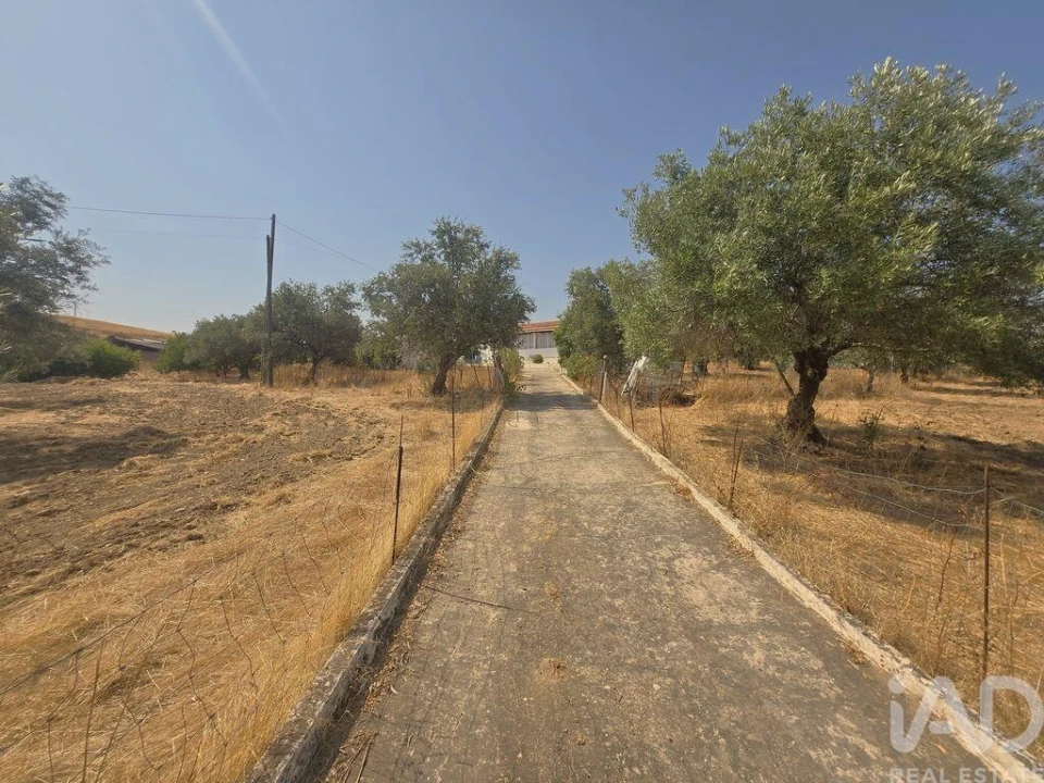 Moradia T3 para Venda em Corte do Pinto Foto 26