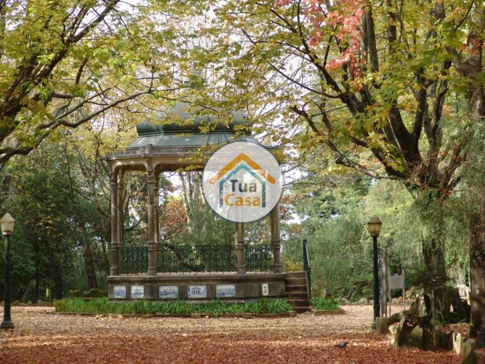 Terreno para Venda em Pinheiro da Bemposta, Travanca e Palmaz Foto 17