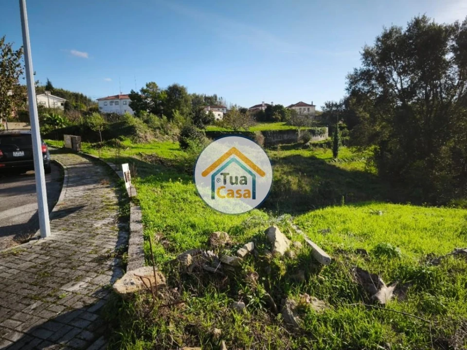 Terreno para Venda em Pinheiro da Bemposta, Travanca e Palmaz Foto 3