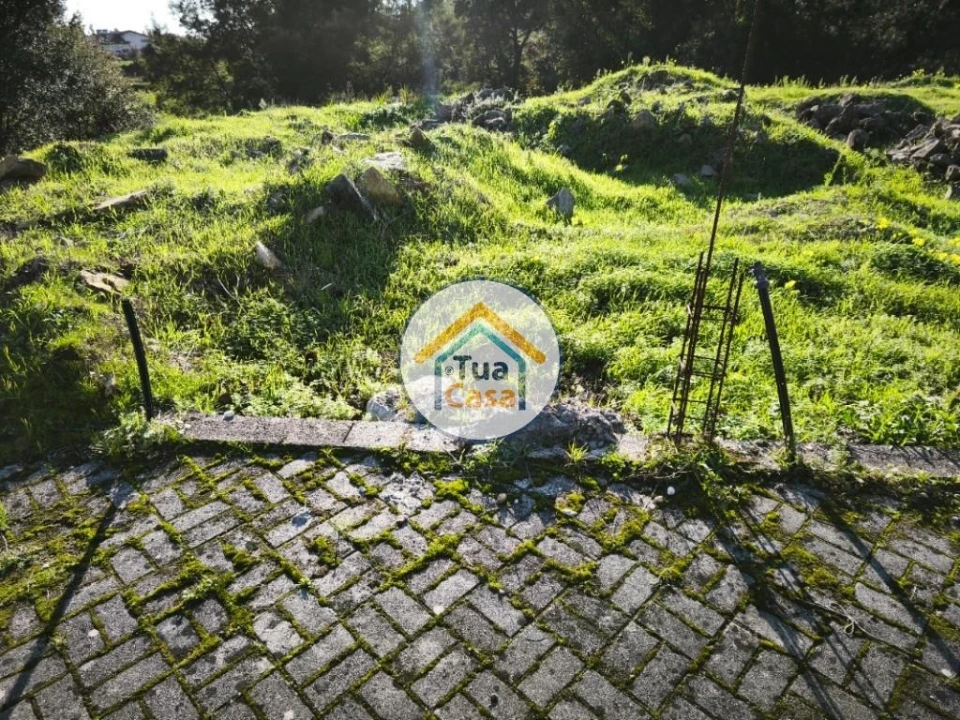 Terreno para Venda em Pinheiro da Bemposta, Travanca e Palmaz Foto 7