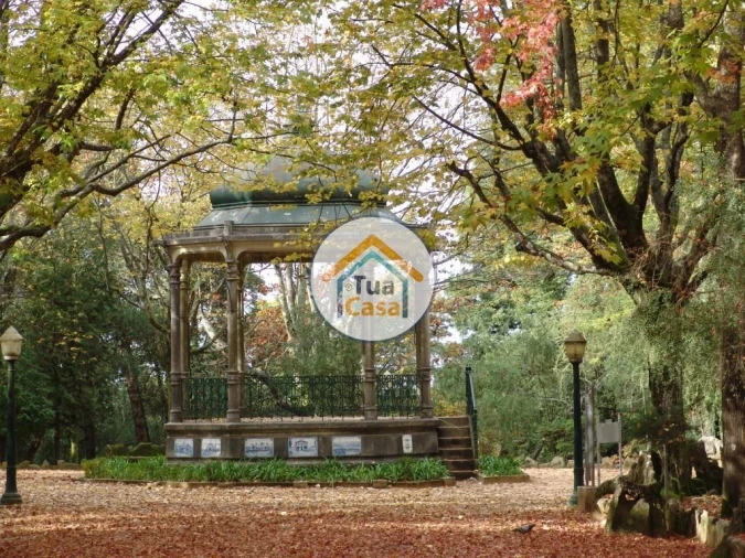 Terreno para Venda em Pinheiro da Bemposta, Travanca e Palmaz Foto 17