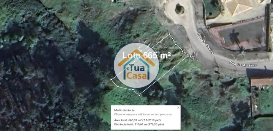 Terreno para Venda em Pinheiro da Bemposta, Travanca e Palmaz Foto 1