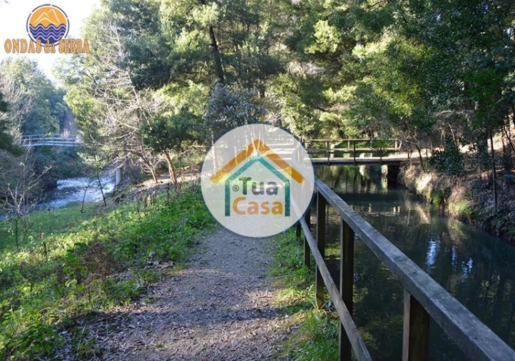 Terreno para Venda em Pinheiro da Bemposta, Travanca e Palmaz Foto 19