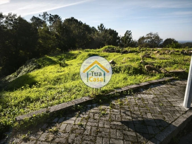 Terreno para Venda em Pinheiro da Bemposta, Travanca e Palmaz Foto 8