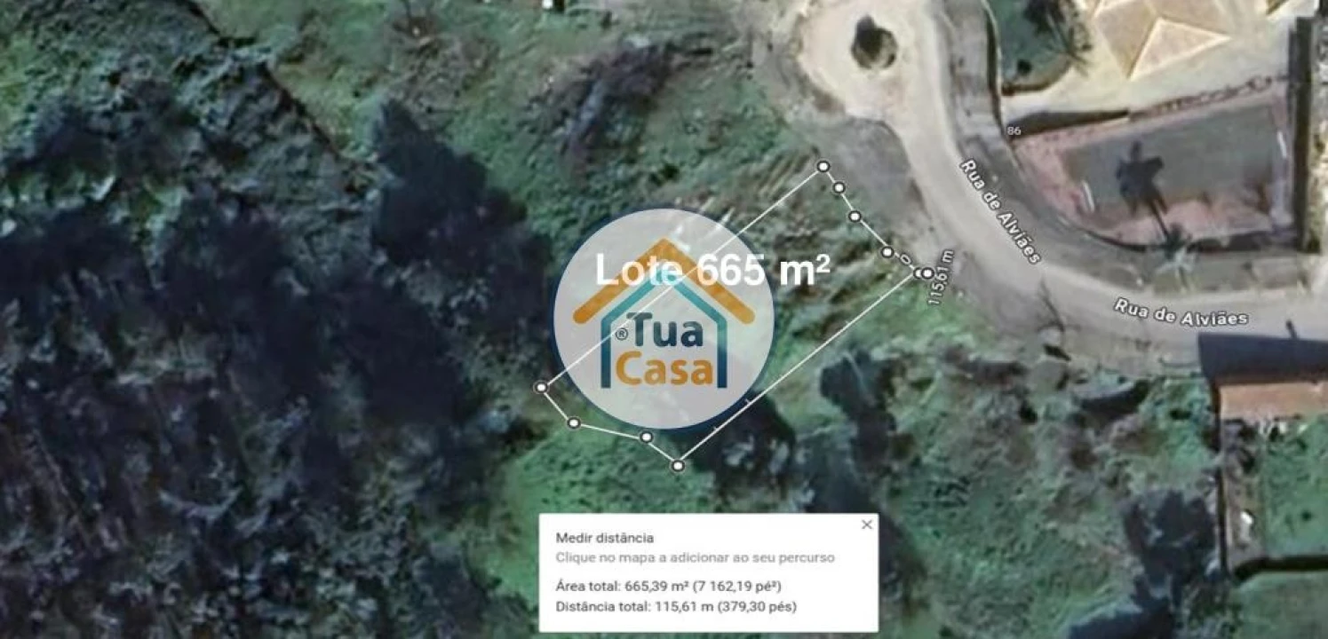 Terreno para Venda em Pinheiro da Bemposta, Travanca e Palmaz Foto 1