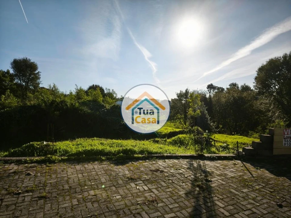 Terreno para Venda em Pinheiro da Bemposta, Travanca e Palmaz Foto 6