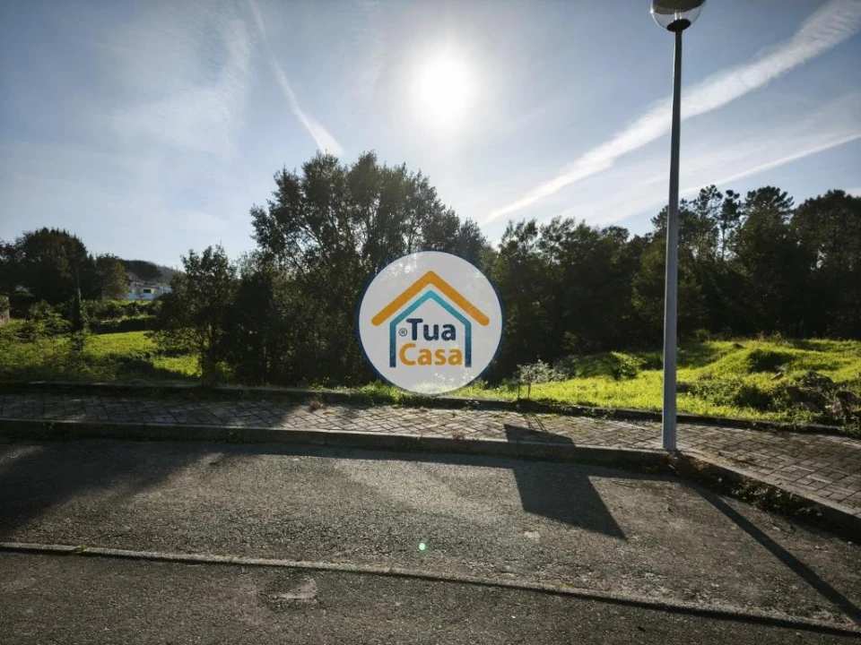 Terreno para Venda em Pinheiro da Bemposta, Travanca e Palmaz Foto 9