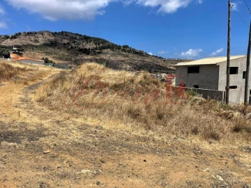 Terreno para Venda em Porto Santo