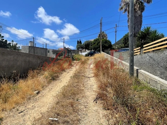 Terreno para Venda em Porto Santo Foto 3