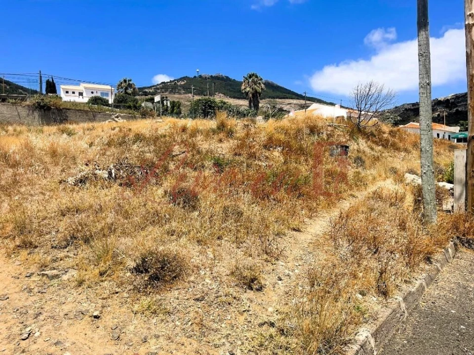 Terreno para Venda em Porto Santo Foto 8