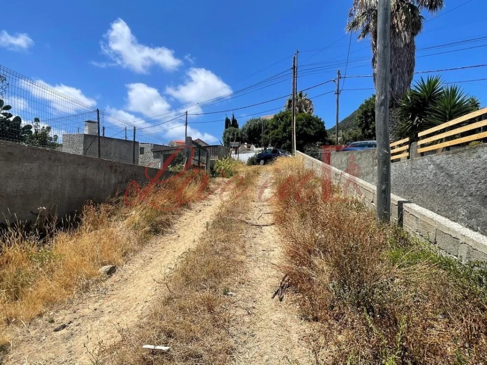 Terreno para Venda em Porto Santo Foto 3