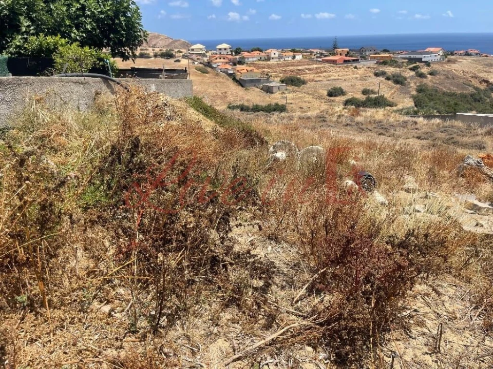 Terreno para Venda em Porto Santo Foto 10