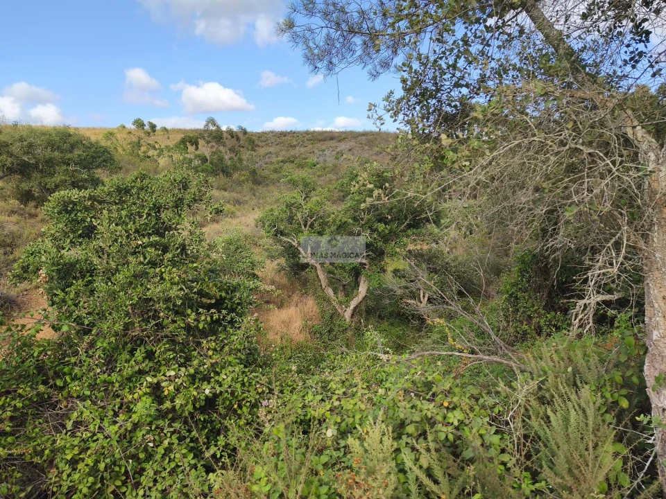 Terreno para Venda em Lagos (São Sebastião e Santa Maria) Foto 4