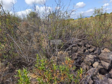 Terreno para Venda em Lagos (São Sebastião e Santa Maria)