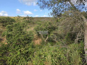 Terreno para Venda em Lagos (São Sebastião e Santa Maria)