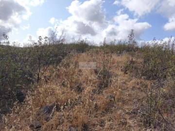 Terreno para Venda em Lagos (São Sebastião e Santa Maria)
