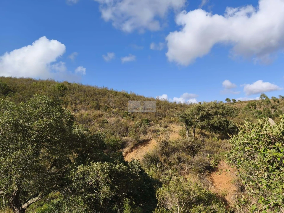 Terreno para Venda em Lagos (São Sebastião e Santa Maria) Foto 8