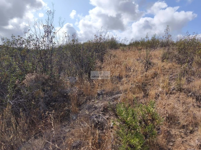 Terreno para Venda em Lagos (São Sebastião e Santa Maria) Foto 6