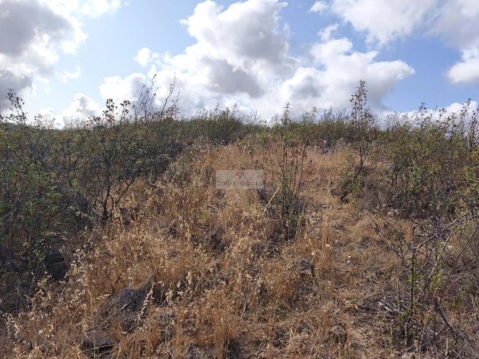 Terreno para Venda em Lagos (São Sebastião e Santa Maria) Foto 7