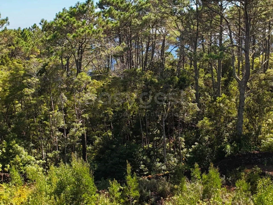 Terreno para Venda em Lajes do Pico Foto 7