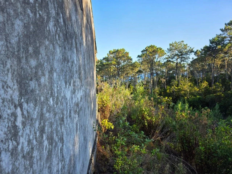 Terreno para Venda em Lajes do Pico Foto 20